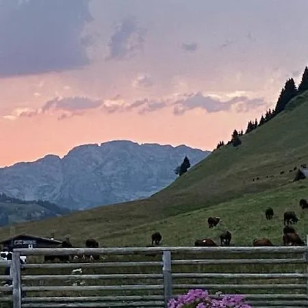 Sophia Chalet *