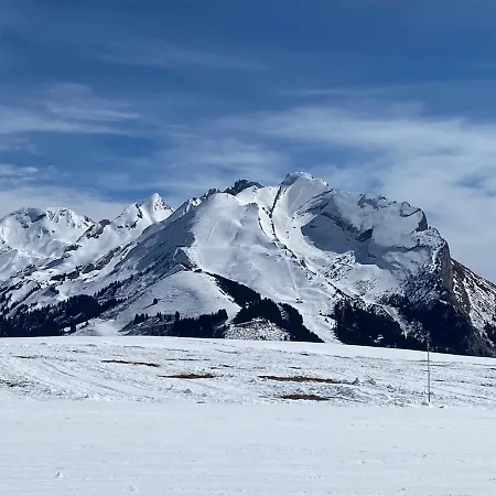 Alpstuga Sophia
