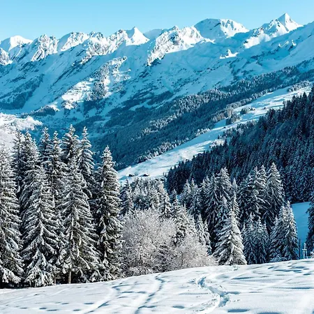 Sophia Chalet La Clusaz